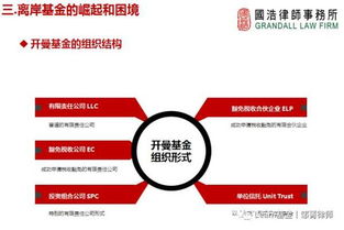 監(jiān)管升級(jí)背景下，海外投資的策略調(diào)整與投資管理之道