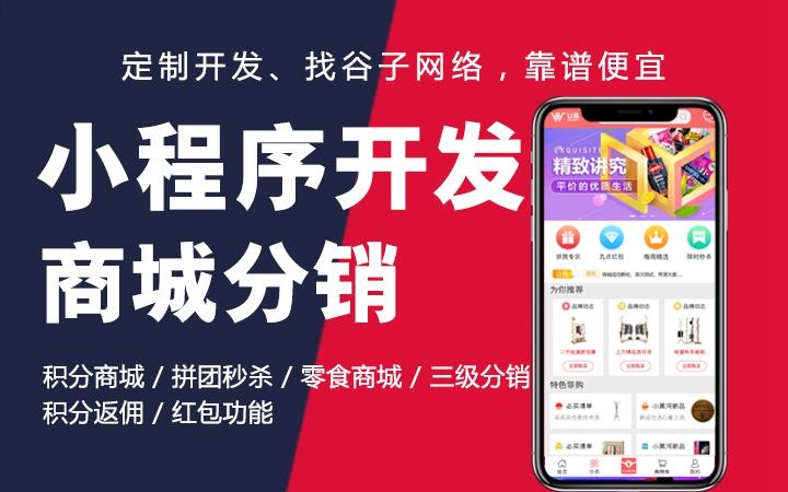 微信小程序定制開發小程序軟件定制開發小程序商城h5