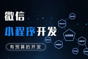 株洲小程序開發(fā)