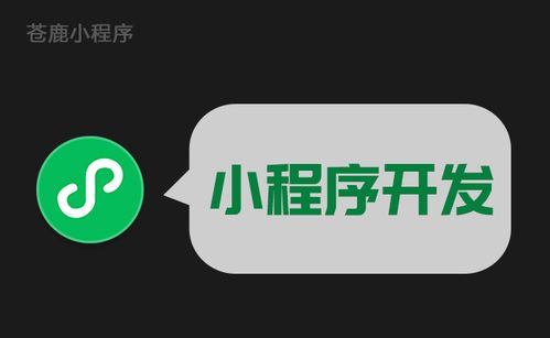 小程序模板開發(fā)和小程序定制化開發(fā),該怎么選