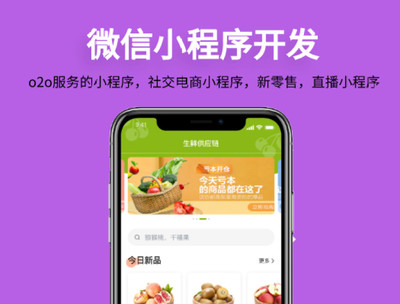 自貢小程序商城開發(fā)制作,開發(fā)一個小程序商城需要多少錢