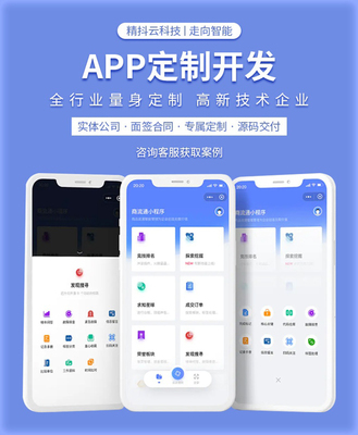 精抖云 小程序開發(fā) 小程序開發(fā)費用 定制 標準版